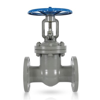 Vārtu vārstu diska tips